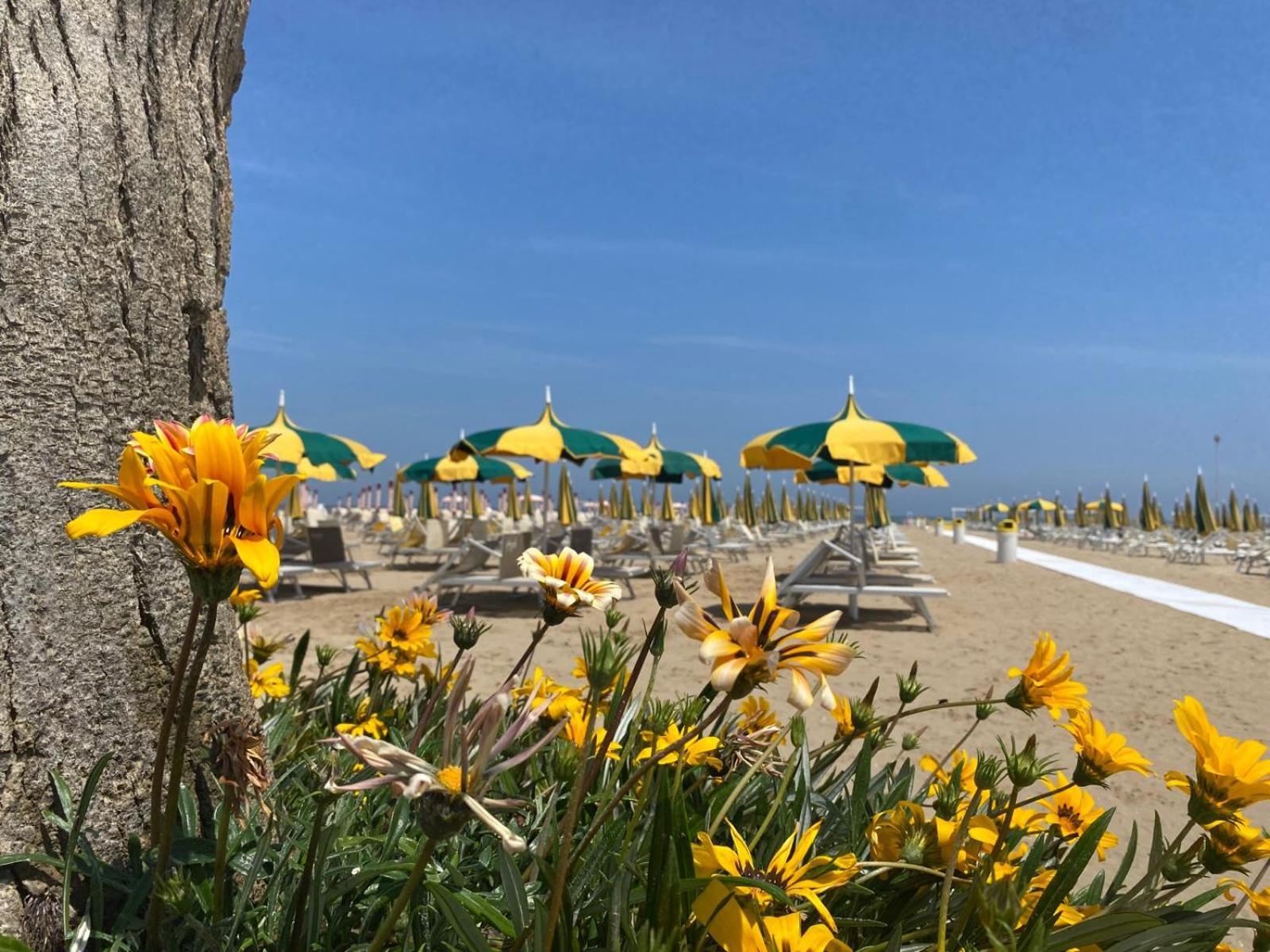 Rimini Bay Suites&Residence Εξωτερικό φωτογραφία